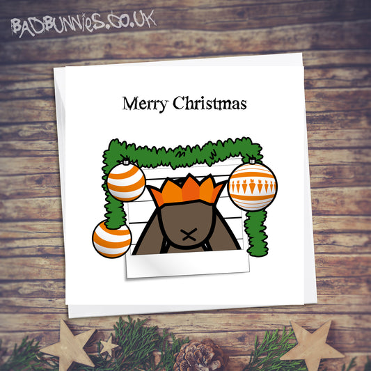 Christmas Card ...The Naughty List!!!